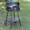 Pipra Holzkohle-Grill rund mit verstellbarem Grillrost Ø 48 cm und Rädern Verkauf