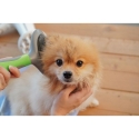 Brosse de toilettage autonettoyante pour animaux élimination des poils Lima Offre
