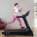 Professionelles klappbares elektrisches Laufband mit Steigung Everest Verkauf