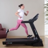 Professionelles klappbares elektrisches Laufband mit Steigung Everest Verkauf