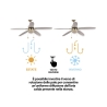 Deckenventilator mit Licht, 5 Flügel, Rückwärtsfunktion, Windy Sales