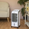 Raffrescatore portatile 3 in 1 ventilatore e umidificatore Smart Fresh Vendita