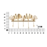 Wandgarderobe aus Metall mit 5 Haken 26,3x49,5x6 cm Leaves Katalog