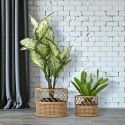Set aus 2 runden Pflanzenständern aus Metall und Rattan Panama Verkauf
