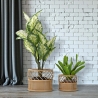 Ensemble de 2 porte-plantes ronds en métal et rotin Panama Vente