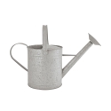 Arrosoir avec pommeau de douche pour jardin 8,7 L Promotion