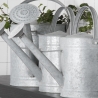 Arrosoir avec pommeau de douche pour jardin 8,7 L Catalogue