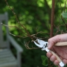 Outil de jardin multifonction sécateur en acier et bois Vente