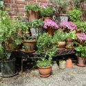 Eckregal für Blumentöpfe Garten Outdoor 3 Ebenen Verkauf