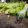 Plantoir à bulbes en acier inoxydable avec manche en bois Vente