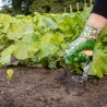 Plantoir à bulbes en acier inoxydable avec manche en bois Choix