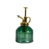 Vaporisateur en verre vert pour plantes et fleurs Remises