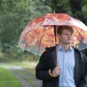 Regenschirm mit Herbsteffekt und Holzgriff Verkauf