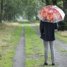 Regenschirm mit Herbsteffekt und Holzgriff Rabatte