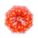Regenschirm mit Herbsteffekt und Holzgriff Angebot