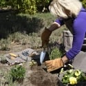 Gartenwerkzeugtasche zum Rollen aus Wachstuch Verkauf