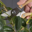 Ensemble d'outils de jardinage pour la taille Remises