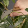 Ensemble d'outils de jardinage pour la taille Réductions