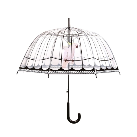 Dekorativer kuppelförmiger Transparenter Regenschirm mit Papagei-Motiv Aktion