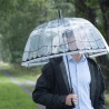 Dekorativer kuppelförmiger Transparenter Regenschirm mit Papagei-Motiv Verkauf