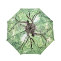 Parapluie à motif branches d'arbre Offre