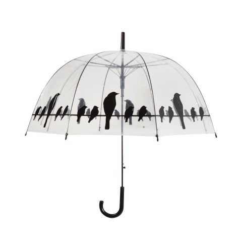 Transparenter Regenschirm mit Vogel-Dekoration auf der Leine Aktion