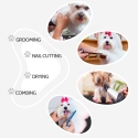 Table de toilettage pour chiens et chats pliante réglable en hauteur Chow Dimensions