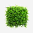Haie artificielle 50x50cm fougère 3D jardin balcon Pritus Promotion