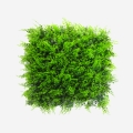 Siepe artificiale 50x50cm pianta felce finta 3D giardino balcone Pritus Promozione