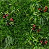 Künstliche Hecke 3D-Paneel 100x100cm realistische Pflanzen Cerrum Sales