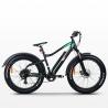 Ebike bicicletta elettrica fatbike MTB 250W MT8 Shimano Saldi