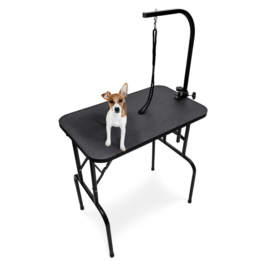Table de toilettage ajustable en aluminium pour chiens et chats Canis Promotion Table de toilettage ajustable en aluminium pour chiens et chats Canis Promotion