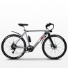 Bicicletta elettrica ebike city bike da uomo 250W Shimano W6 Caratteristiche