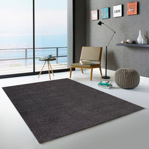 Moderner grauer schwarzer antistatischer Teppich für Wohnzimmereintritt Casacolora CCGRN