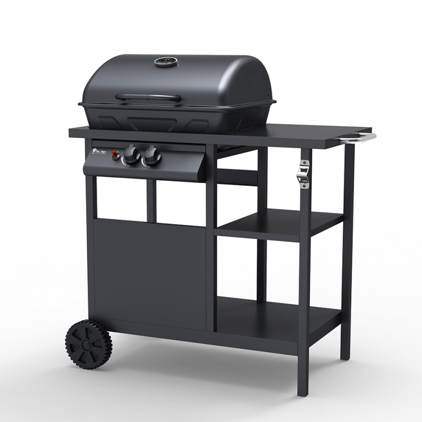 Barbecue BBQ Gasgrill aus Edelstahl 2 Brenner Ablagen Bagnét Verd Aktion Barbecue BBQ Gasgrill aus Edelstahl 2 Brenner Ablagen Bagnét Verd Aktion