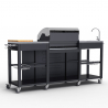 Barbecue gas acciaio inox BBQ 4+1 bruciatori lavello ripiani cremagliera Tartara Stock