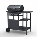 Barbecue BBQ à gaz en acier inoxydable 2 brûleurs grille Bagnét Verd Fr Promotion