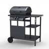 Barbecue BBQ à gaz en acier inoxydable 2 brûleurs grille Bagnét Verd Fr Promotion