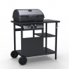 Barbecue BBQ à gaz en acier inoxydable 2 brûleurs grille Bagnét Verd Fr Remises