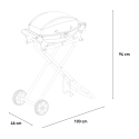 Barbecue BBQ Gas Portatile Acciaio Inox Bruciatore Griglia Cremagliera Bernese Scelta