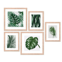 Satz von 5 gerahmten Collage-Blätterdrucken Frame Jungle Verkauf