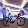 Elektrofahrrad E-Bike Citybike für Herren 250W Shimano W6 Verkauf