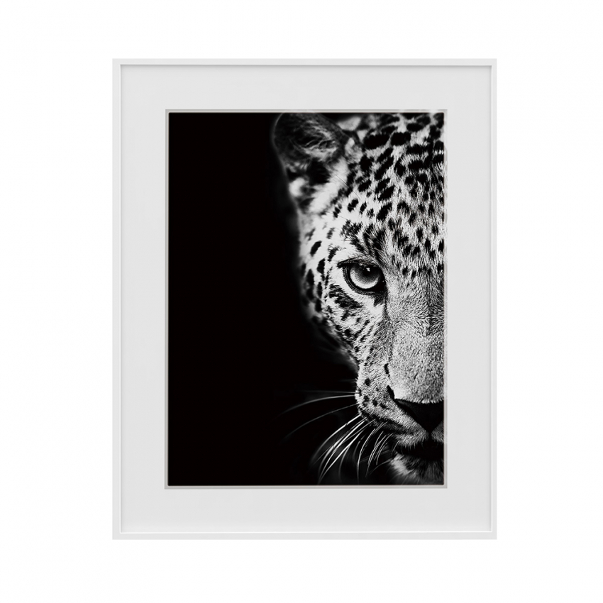 Variety Kambuku stampa fotografia quadro bianco e nero animali leopardo  40x50cm