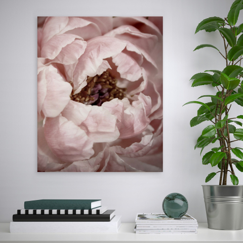 Stampa fiori quadro natura tema floreale cornice 40x50cm Variety Duwa Promozione