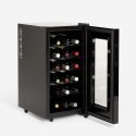 Bacchus XVIII gekühlter Weinkeller mit 18 LED-Flaschen für eine Zone Sales