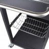Barbecue gas acciaio inox BBQ 4+1 bruciatori lavello ripiani cremagliera Tartara Caratteristiche