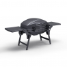 Tragbarer Edelstahl Gasgrill Barbecue BBQ Brenner Bernese Fr Katalog