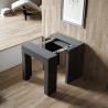 Consolle tavolo da pranzo allungabile 78x47-299cm antracite Allin Report Saldi