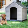 Cuccia casetta giardino per cani di taglia media in plastica Ruby Vendita