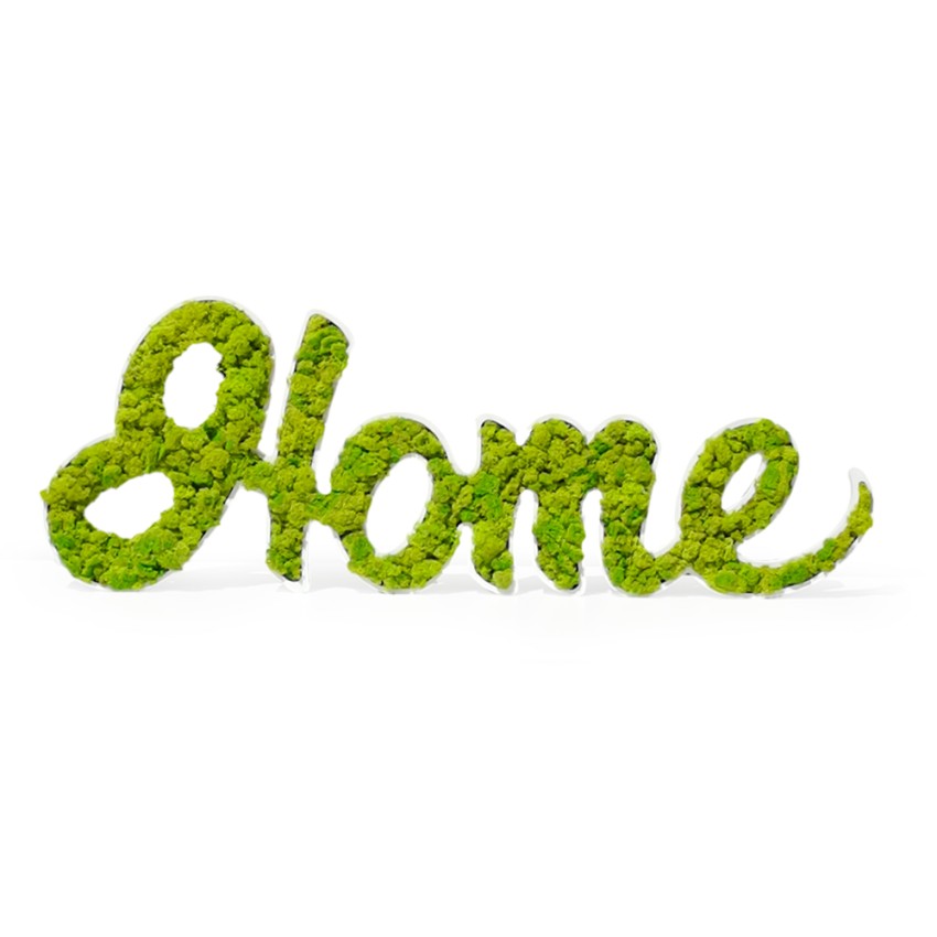 Home scritta vegetale decorazione muschio lichene stabilizzato